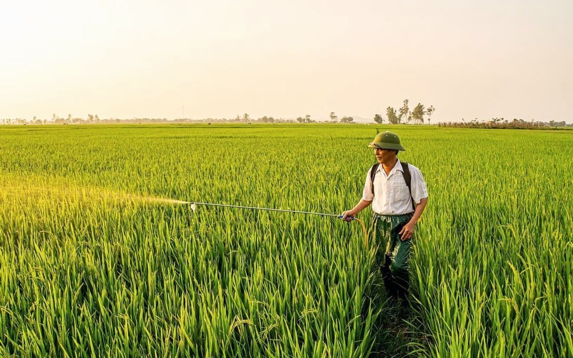 একটি উষ্ণ গ্রামীণ বেকারি পণ্য প্লেটে